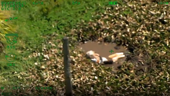 Volusia County sheriff's helicopter finds missing woman in swampy area