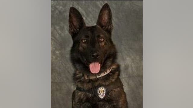 Mesquite K9 officer killed while chasing armed robbery suspects