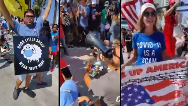 'Stop being sheeple': Hundreds attend protest against mask mandate in Florida county