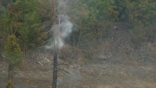 Firefighters: 40-acre brush fire in Apopka 90% contained