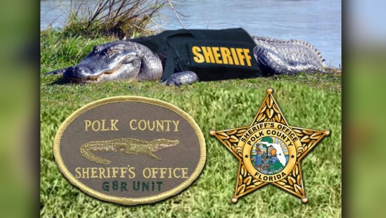 polk gator unit april fools day