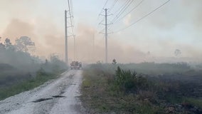Officials: Massive 'Tree Frog' wildfire in Central Florida now 60% contained