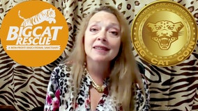 Big Cat Rescue's Carole Baskin announces Big Cat Coin 'crypto-purrency' for online tipping