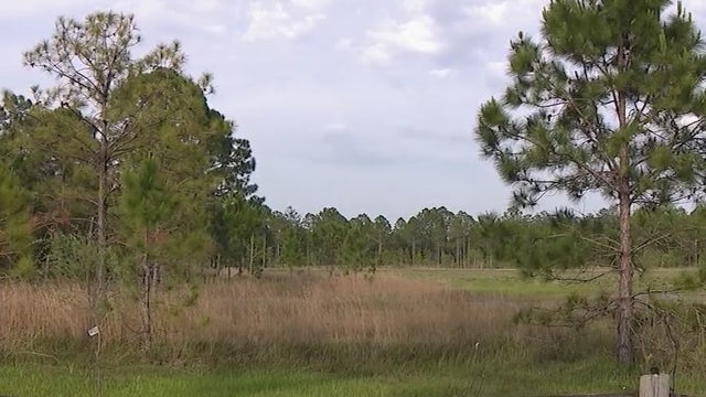 Armed trespasser shot by deputies near horse pasture, Sheriff's Office says