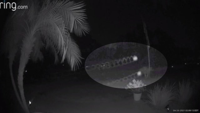 UFO sightings on the rise: Florida man describes orbs he caught on camera