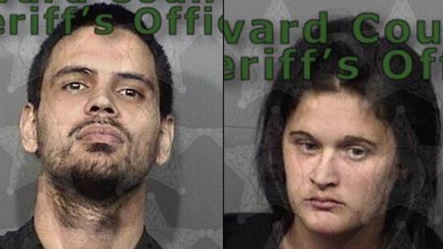 Police: Hundreds of cockroaches, pets found in dirty Florida home