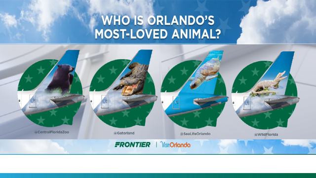 Vote now! Four Central Florida animals vying for image on Frontier Airlines aircraft