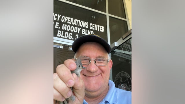 Bird with interesting name rescued from emergency services building in Flagler County