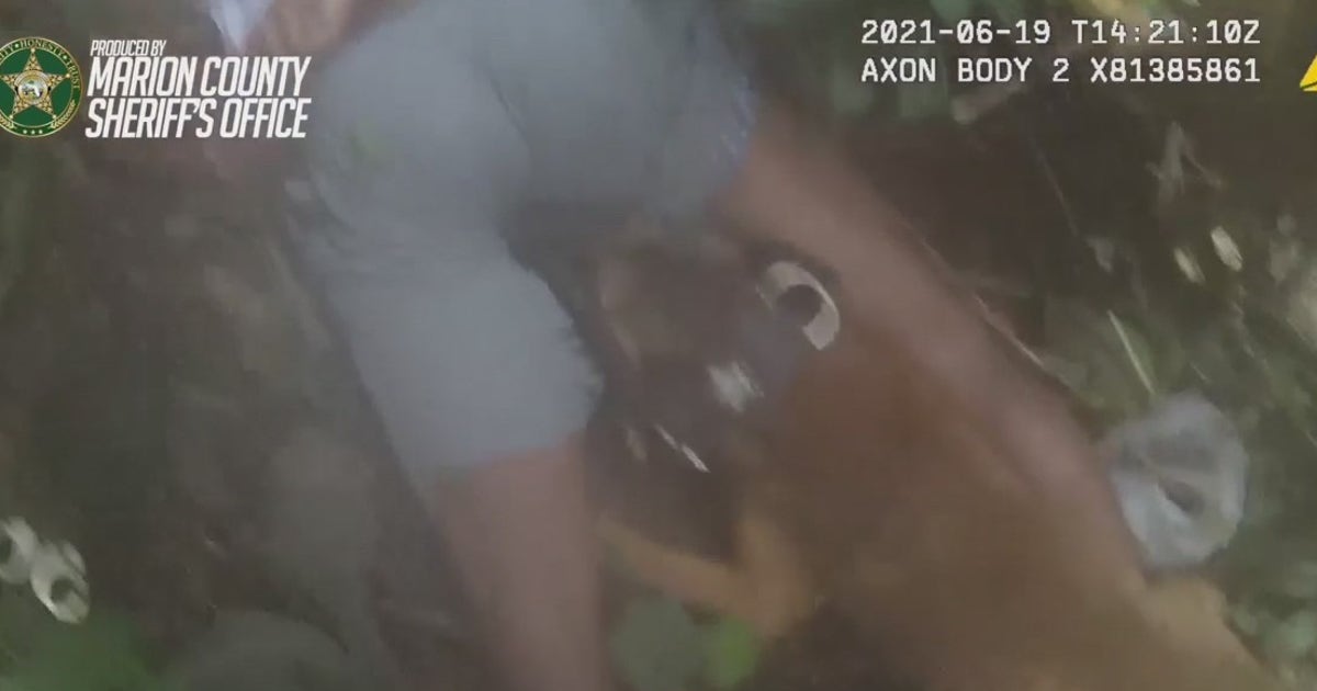 Video: Marion County K-9 chomps down on suspect in painful takedown ...