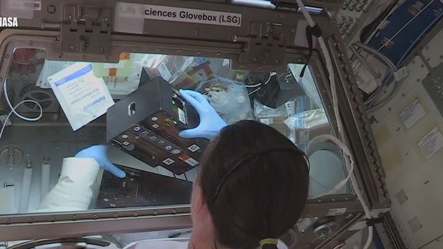 Astronauts at space station begin experiments brought by Crew Dragon