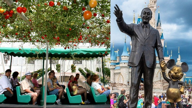 Video: Guest falls after exiting ride vehicle on Disney attraction to grab cucumber