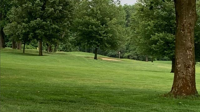 DeSantis' viral tweet shows off 3-year-old son's golf skills: 'He's got a great future'