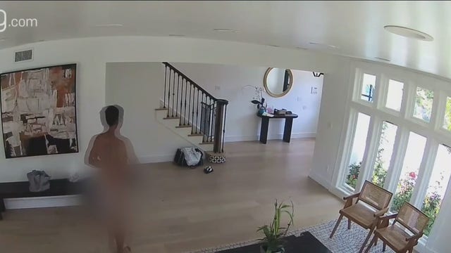 Naked man charged with breaking into Bel Air home; killing family pets