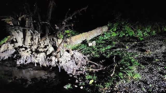 Tuesday's storms cause damage in Alachua County