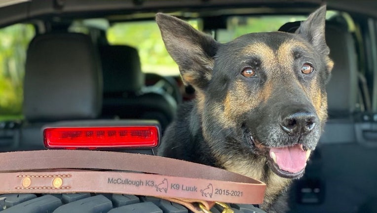 pinellas park k9 luuk 1
