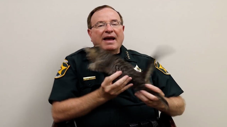 grady-with-his-kitten.mp4_.00_00_02_07.Still002.jpg