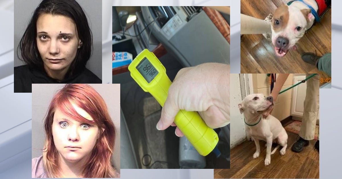 2 Palm Bay women accused of leaving dogs unattended in running vehicle ...