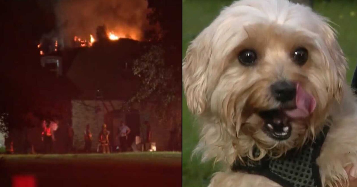 Dog wakes up homeowner as fire tears through Orange County home | FOX ...
