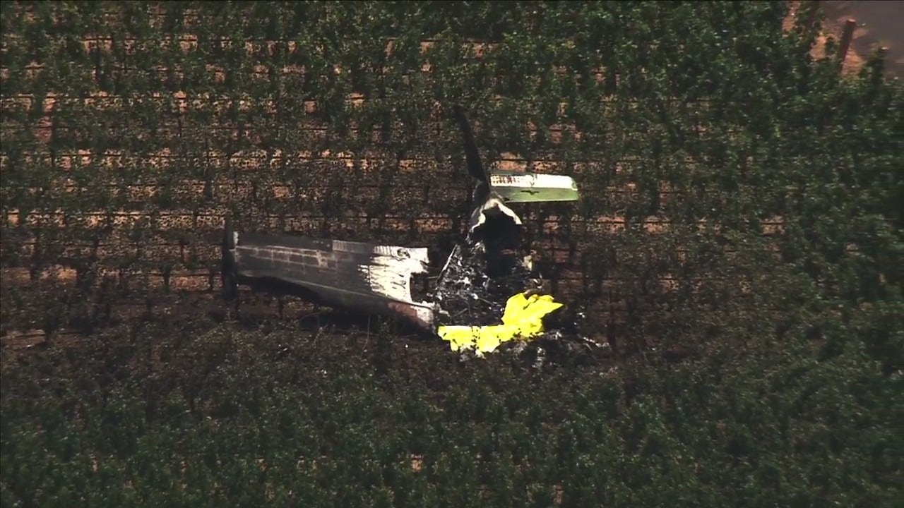 2 killed after plane crashes into Napa County vineyard - Vimarsana News