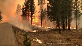 Number of US wildfires so far in 2021 largest in a decade, fire center data says