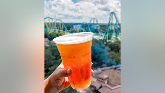 SeaWorld Orlando giving out free beer all month long