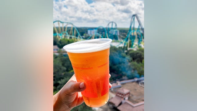 SeaWorld Orlando giving out free beer all month long