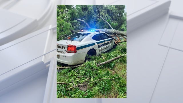 Tree falls on Gilchrist County deputy's patrol car during Tropical Storm Elsa