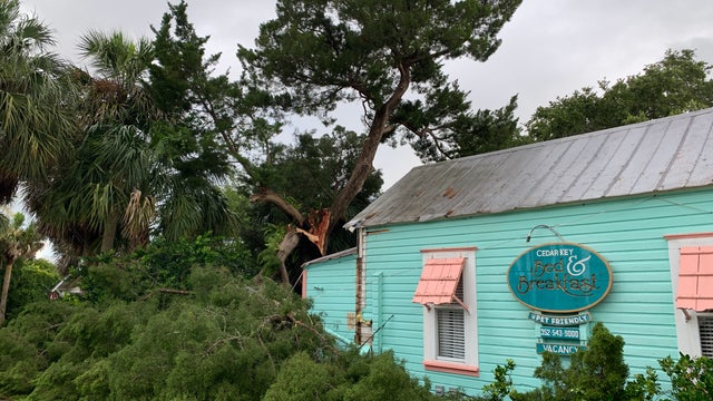 B&B damaged by falling tree in Cedar Key as Tropical Storm Elsa brushes coast