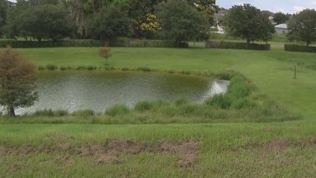 Gator that killed dog caught, euthanized in Winter Garden