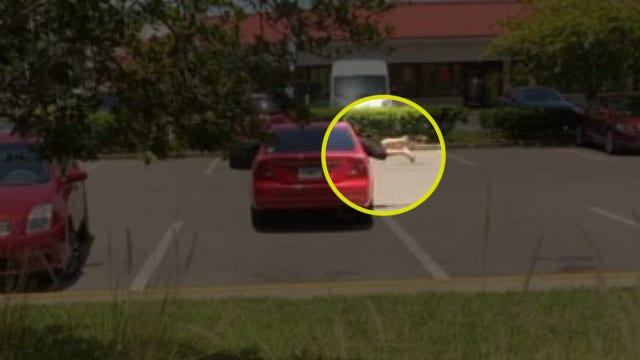 Woman jumps into suspect’s car after alleged purse snatching at bank