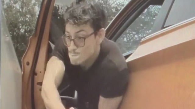 Tesla security system catches man on video vandalizing car