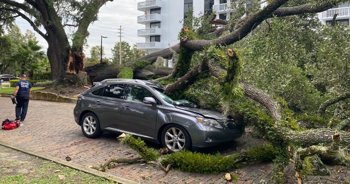 Orlando firefighters respond after large tree falls onto moving car ...