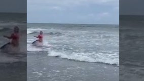 ‘Baby shark?’ Video shows fin approaching girl swimming along shore