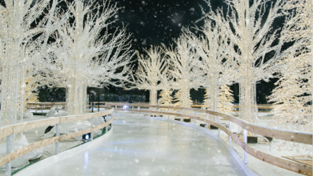 Enchant Christmas returning to St. Petersburg this winter