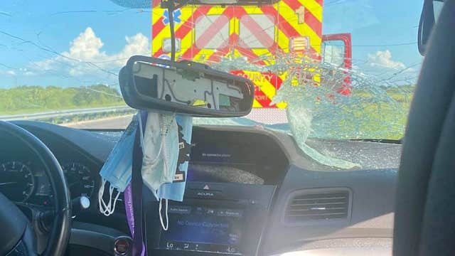 PHOTOS: Turtle crashes through windshield on Florida Turnpike