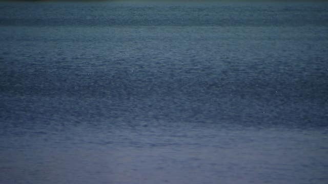 Beach safety: Lake Worth man drowns in Daytona Beach