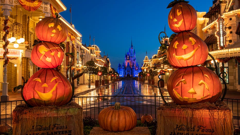 walt disney world magic kingdom fall