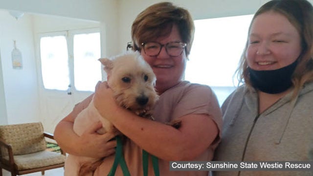 Florida woman spots lost dog on Facebook after missing for nearly a year
