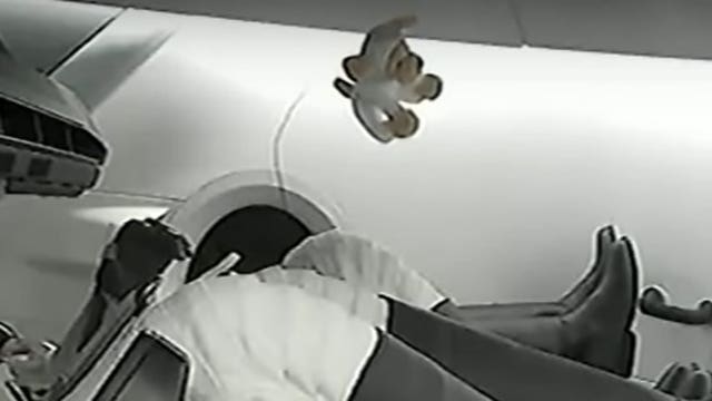 'Space puppy' hitches ride into orbit with Inspiration4 crew