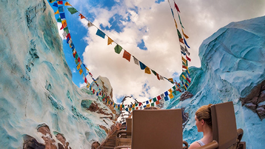 walt disney world expedition everest animal kingdom