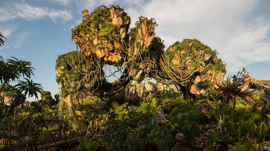 walt disney world animal kingdom pandora the world of avatar