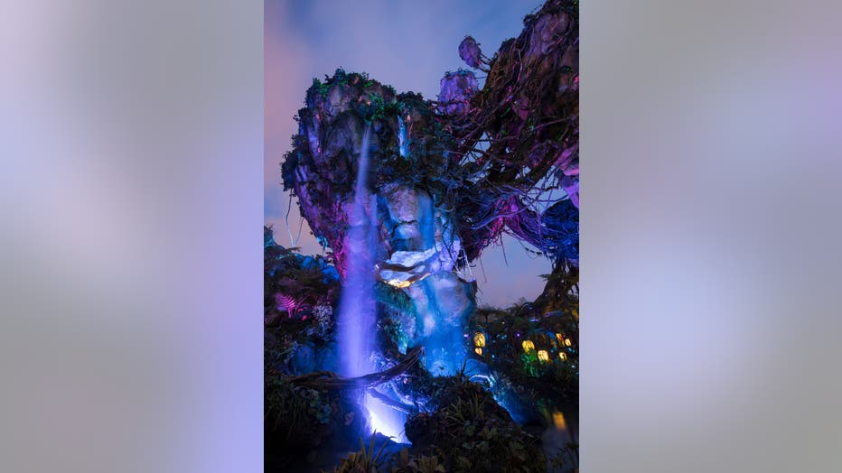 walt disney world animal kingdom pandora the world of avatar