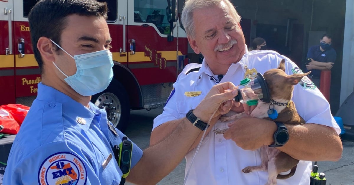 Seminole County Fire Department receives pet oxygen mask donation | FOX ...
