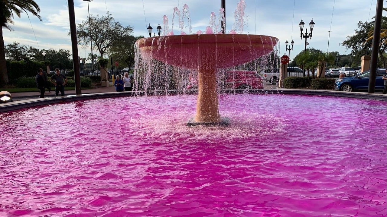 Orlando hotel holds 'Dye Our Fountain Pink' event for breast