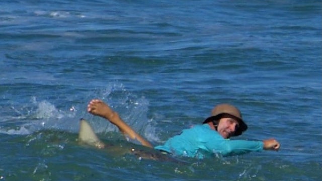 WATCH: Surfer gets surrounded by sharks at Florida beach