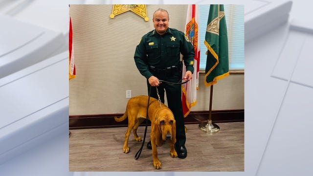 Osceola County Sheriff's Office welcomes new K-9