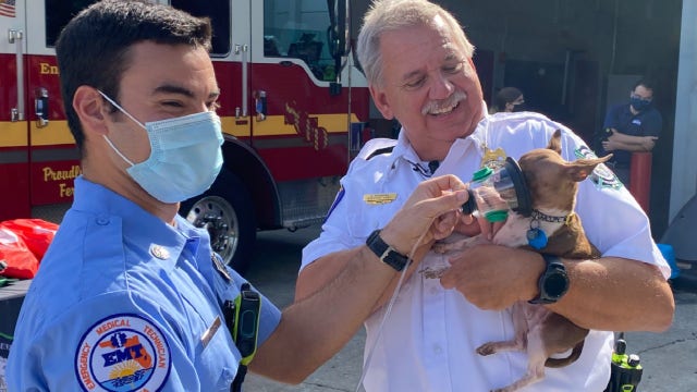 Seminole County Fire Department receives pet oxygen mask donation