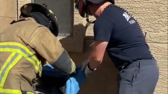 Cat stuck in cinder block wall rescued by firefighters in Arizona