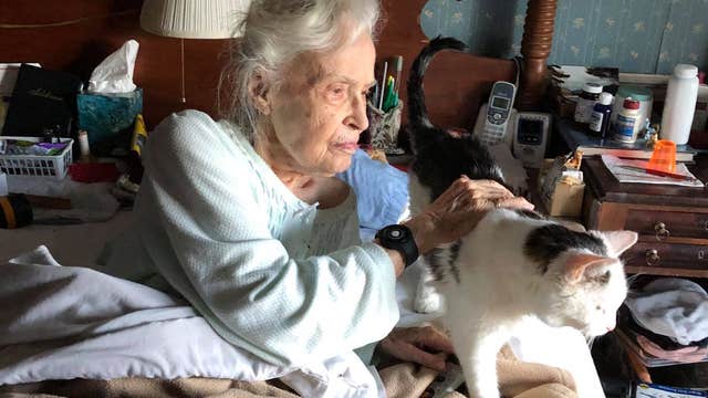 Purrr-fect pairing: 101-year-old woman adopts 19-year-old cat — 133 in human years