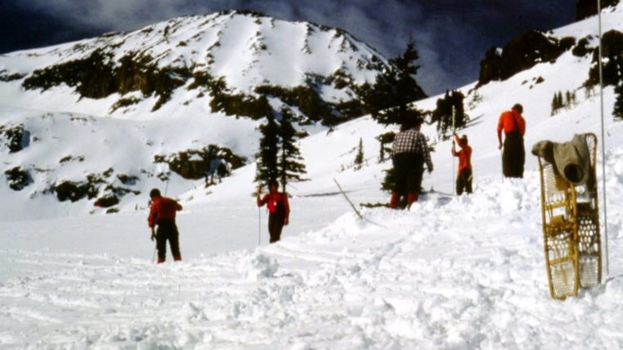 Remains found in Colorado believed to be those of skier who vanished in 1983 - Vimarsana News
